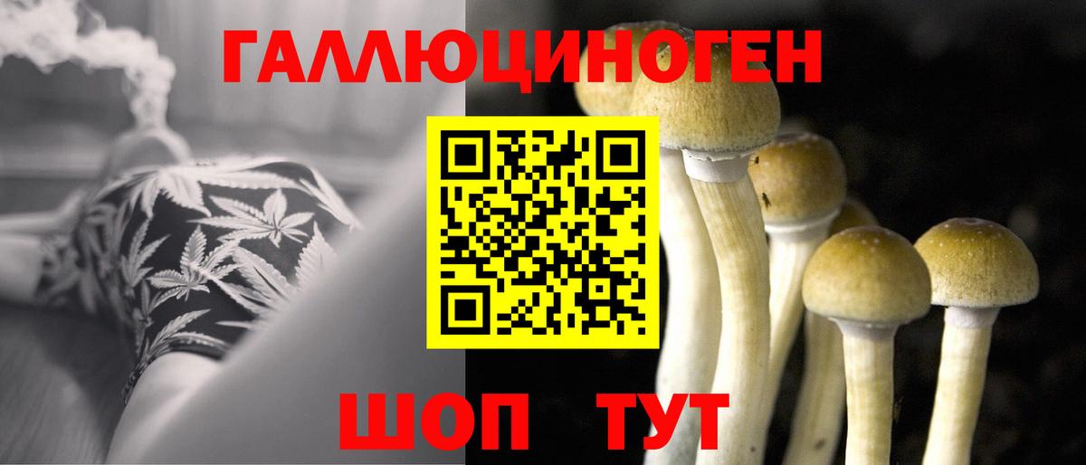 Псилоцибиновые грибы GOLDEN TEACHER  Галлюциногенные грибы мухоморы  Вход с VPN  Ревда 